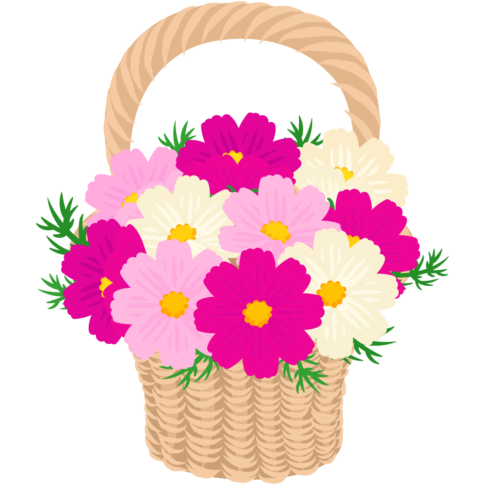 可愛いコスモスのフリーイラスト素材　-花籠-