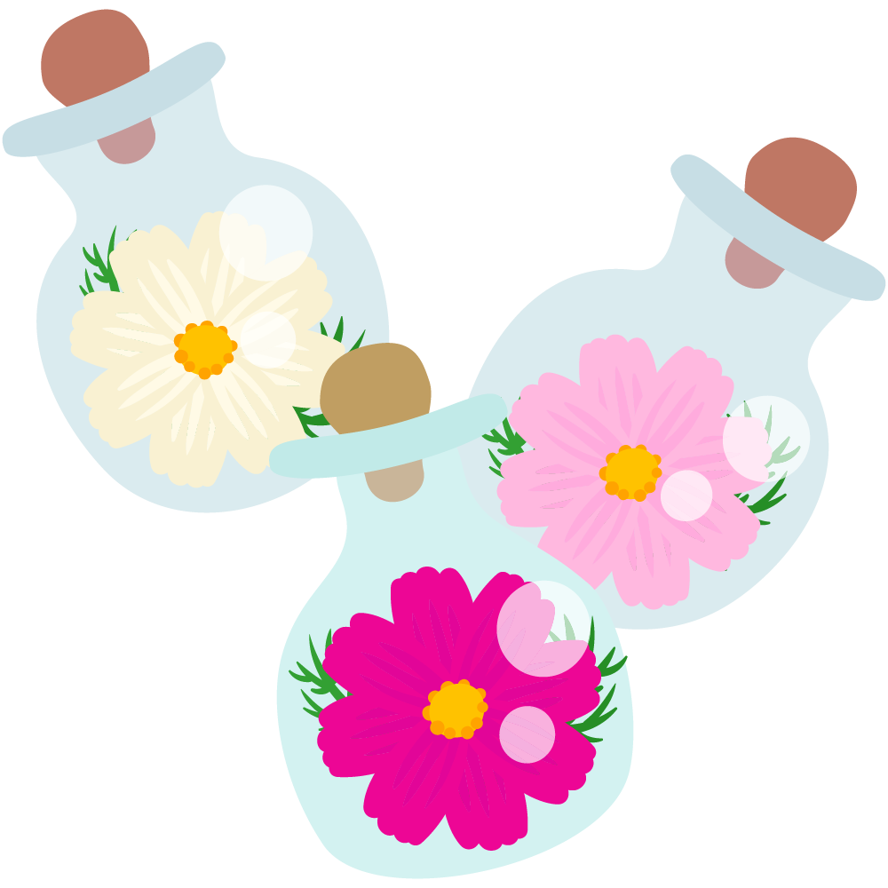 可愛いコスモスのフリーイラスト素材　-小瓶-