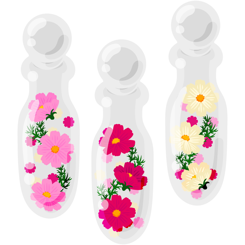 可愛いコスモスのフリーイラスト素材　-ハーバリウム-