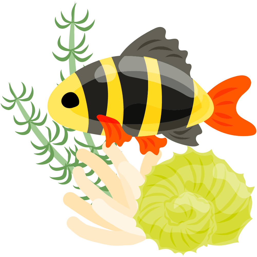 可愛い魚のフリーイラスト素材