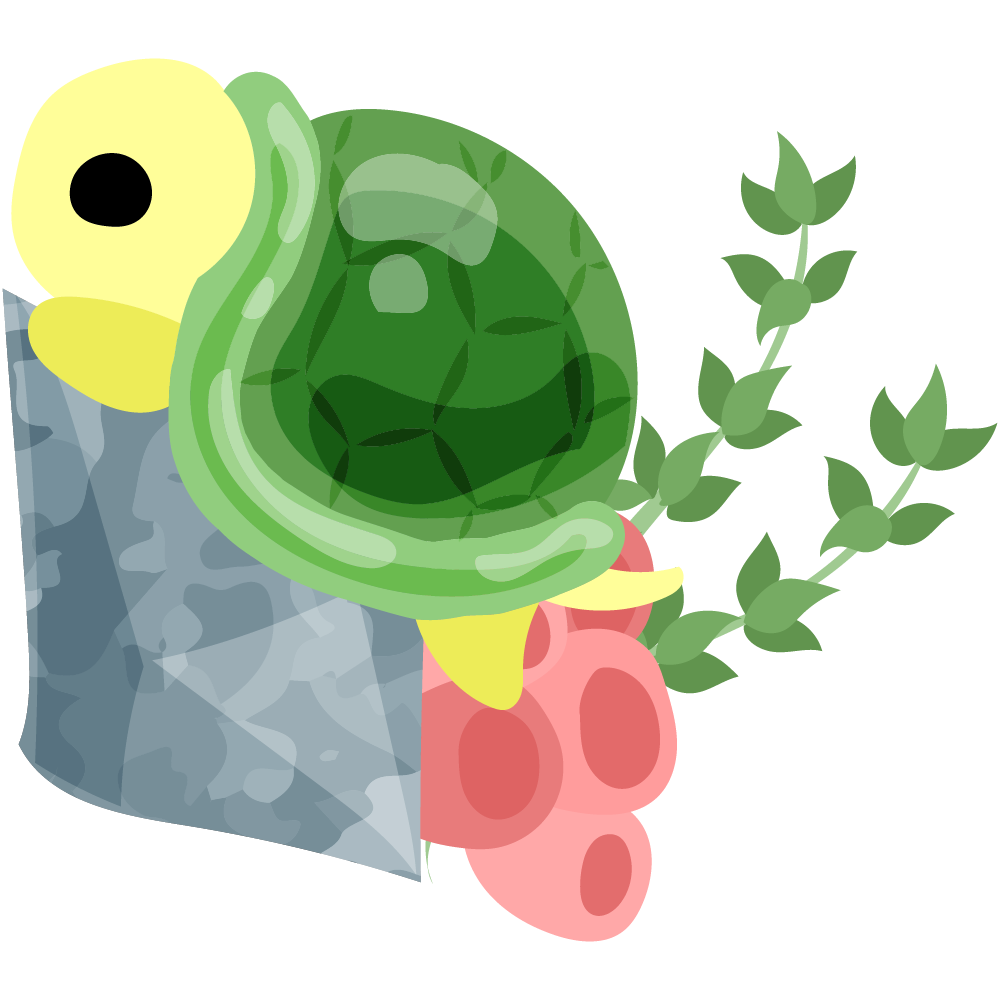 可愛いカメのフリーイラスト素材