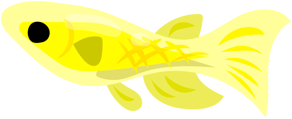 可愛い魚のフリーイラスト素材