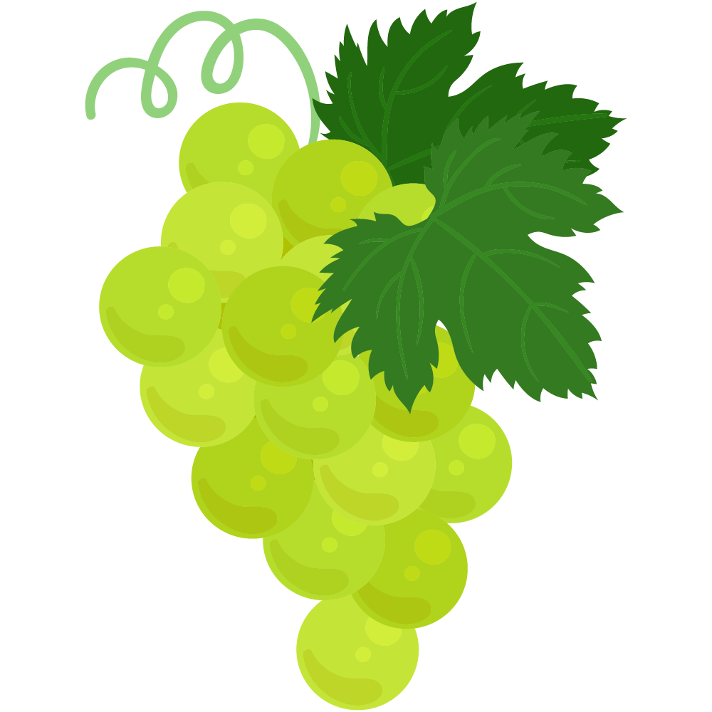 美味しそうなマスカットのフリーイラスト素材