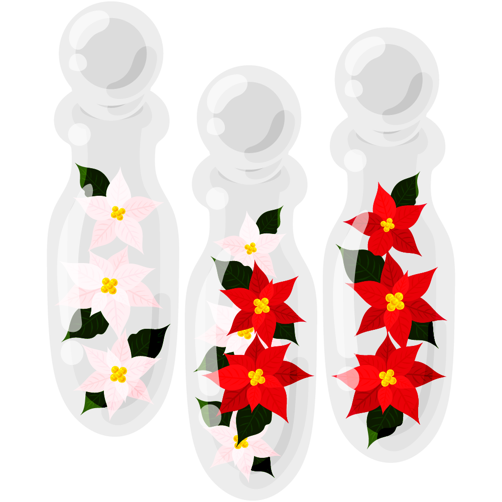 おしゃれなポインセチアのフリーイラスト素材　-ハーバリウム-