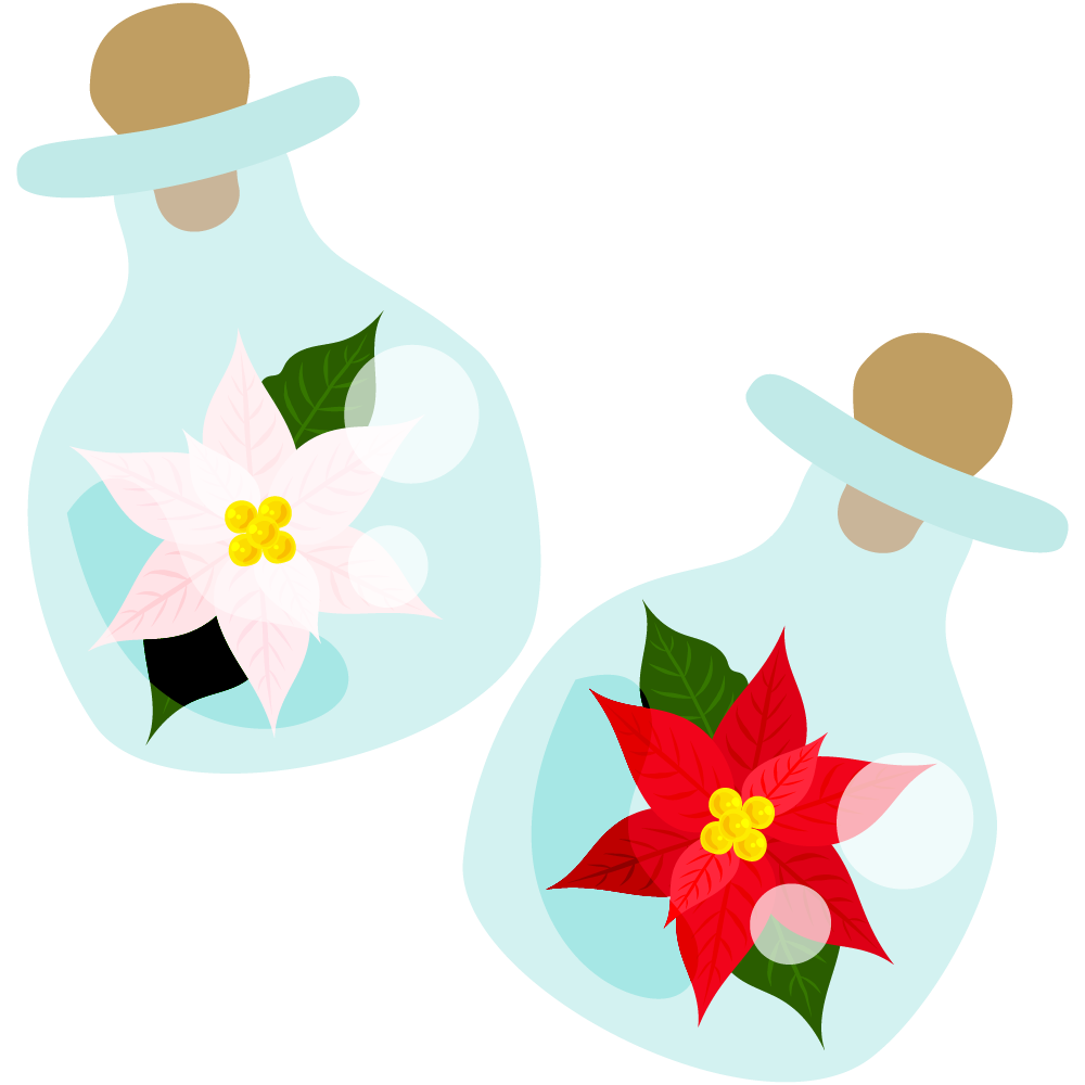 おしゃれなポインセチアのフリーイラスト素材　-ハーバリウム-