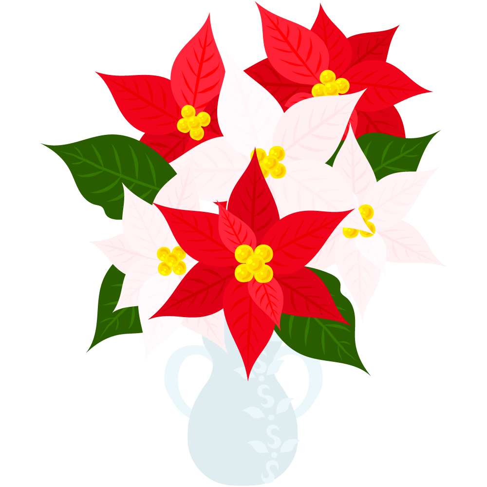おしゃれなポインセチアのフリーイラスト素材　-花瓶-