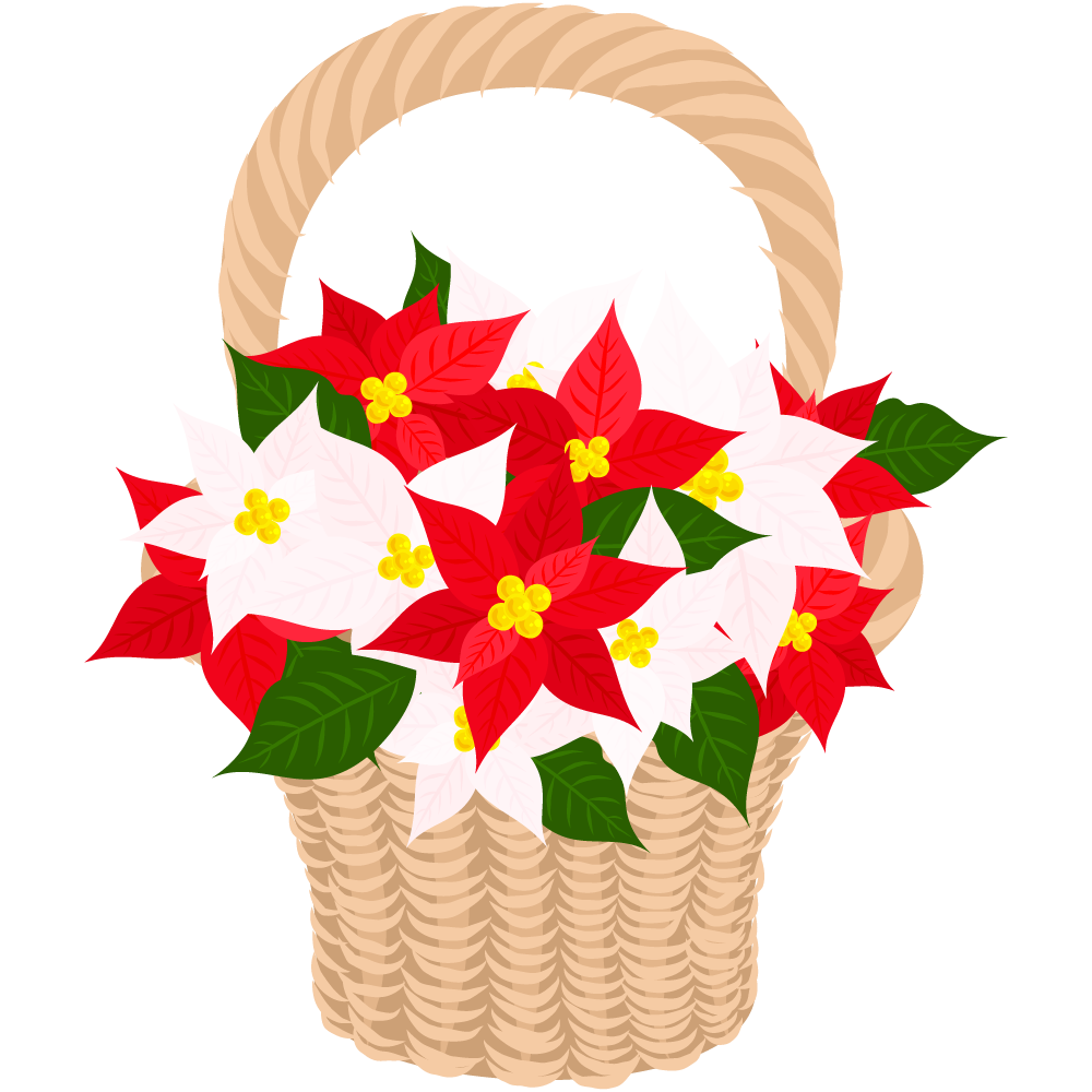 おしゃれなポインセチアのフリーイラスト素材　-花籠-