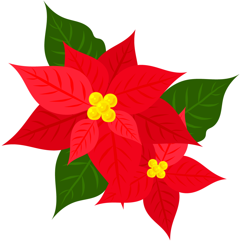 おしゃれなポインセチアのフリーイラスト素材