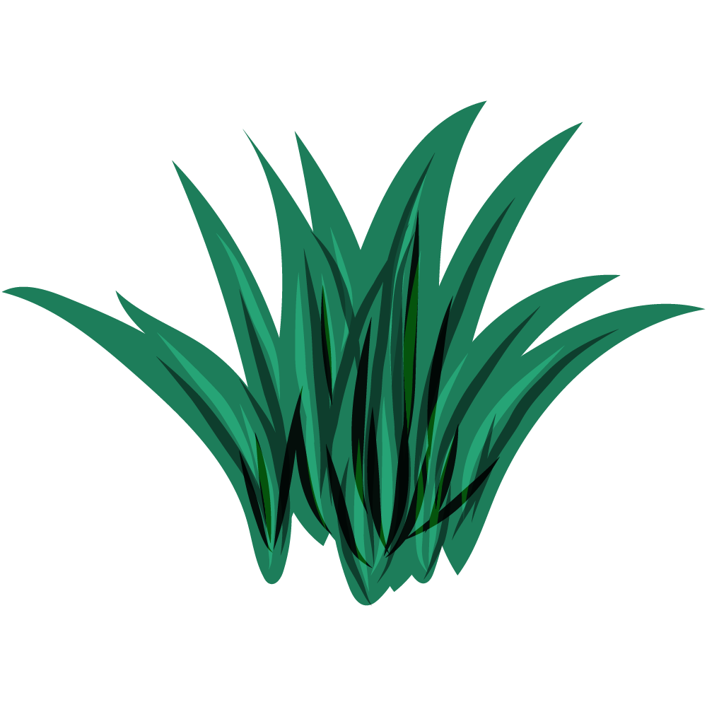 不思議な葉のフリーイラスト素材