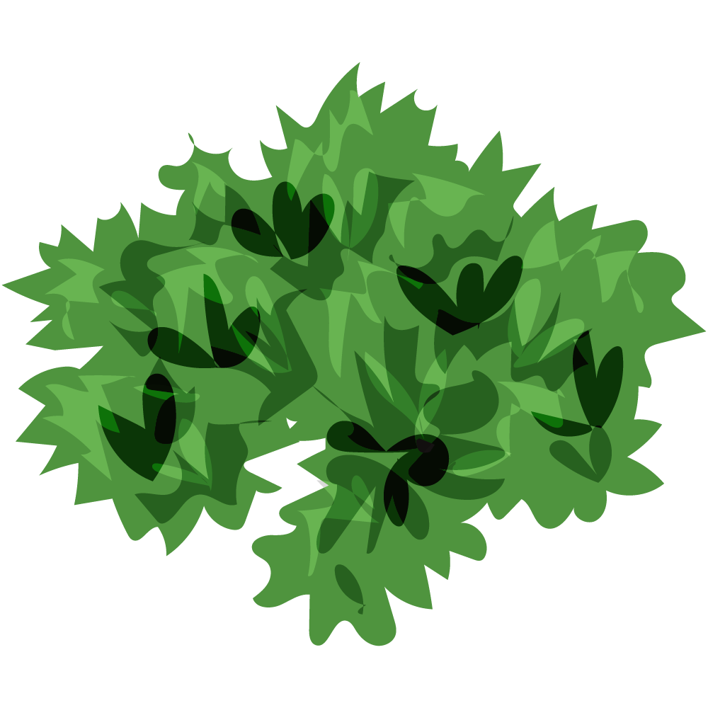 不思議な葉のフリーイラスト素材