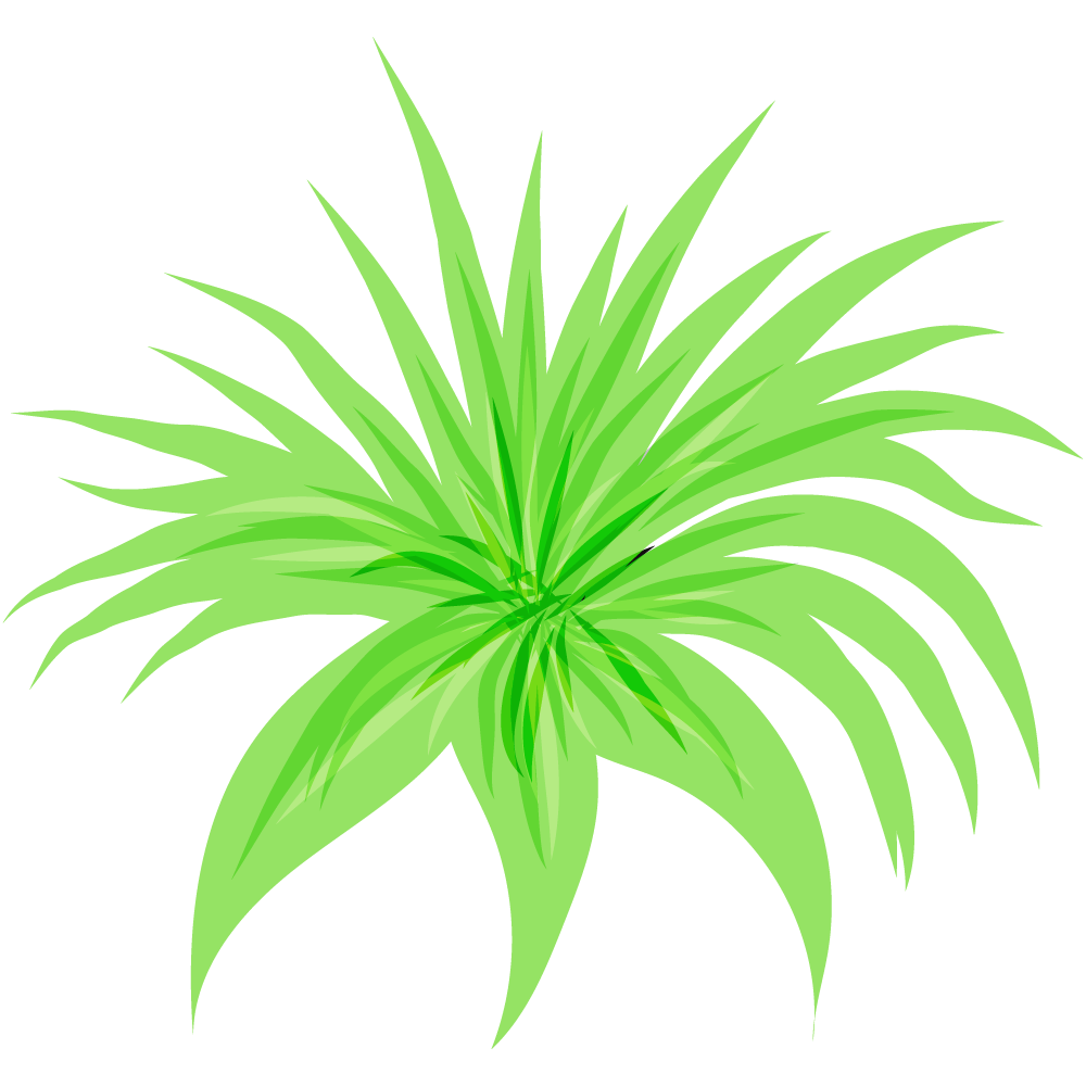 不思議な葉のフリーイラスト素材