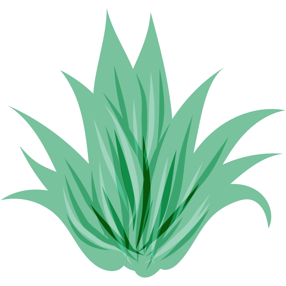 不思議な葉のフリーイラスト素材