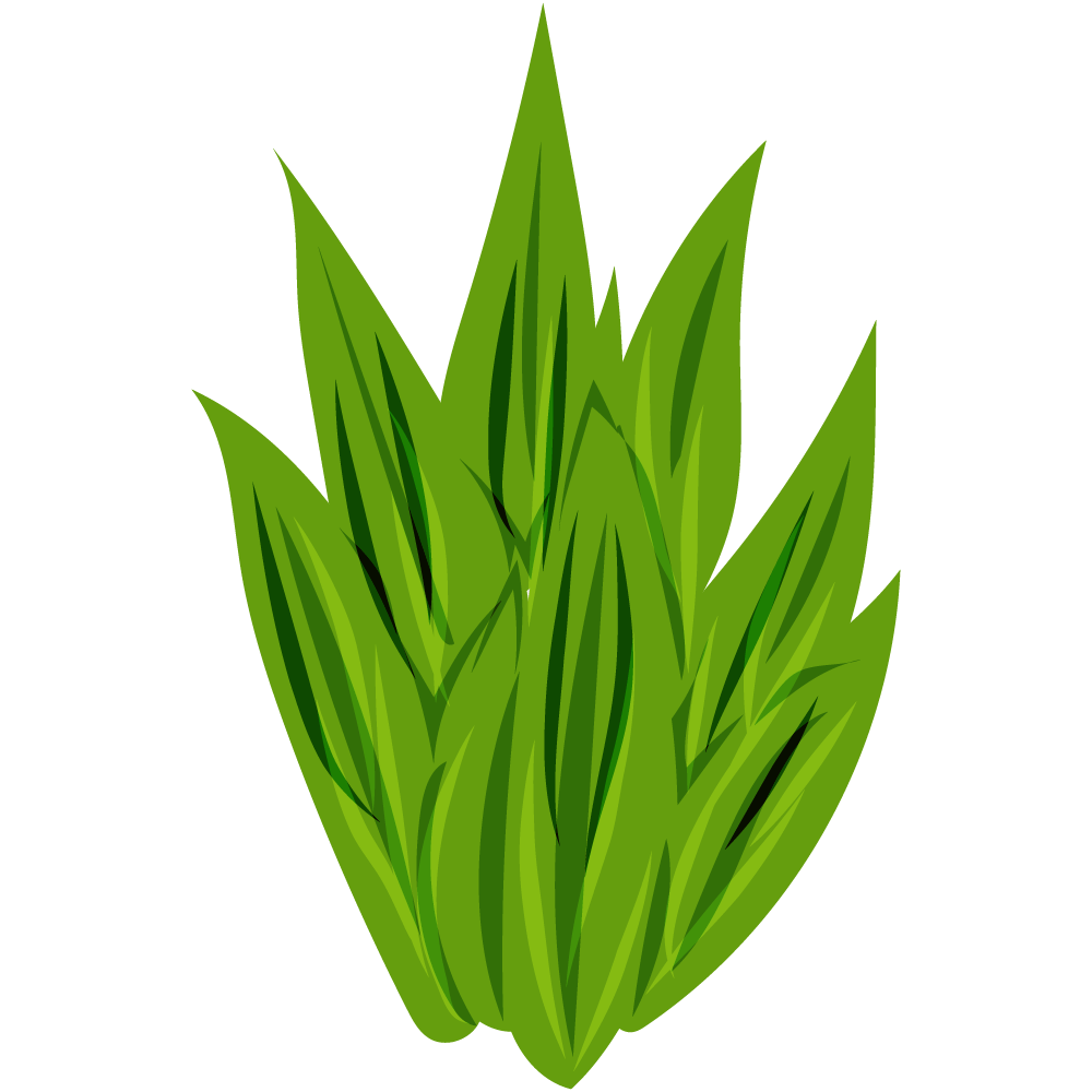 不思議な葉のフリーイラスト素材