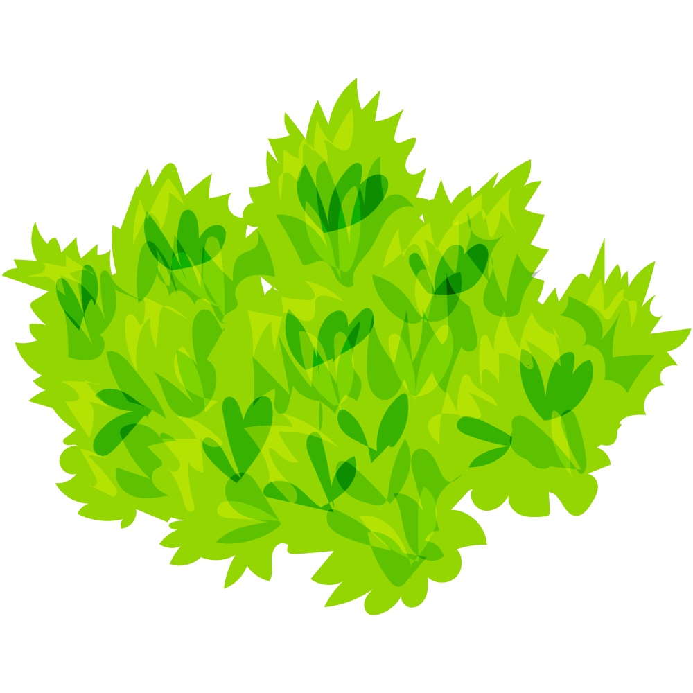 不思議な葉のフリーイラスト素材