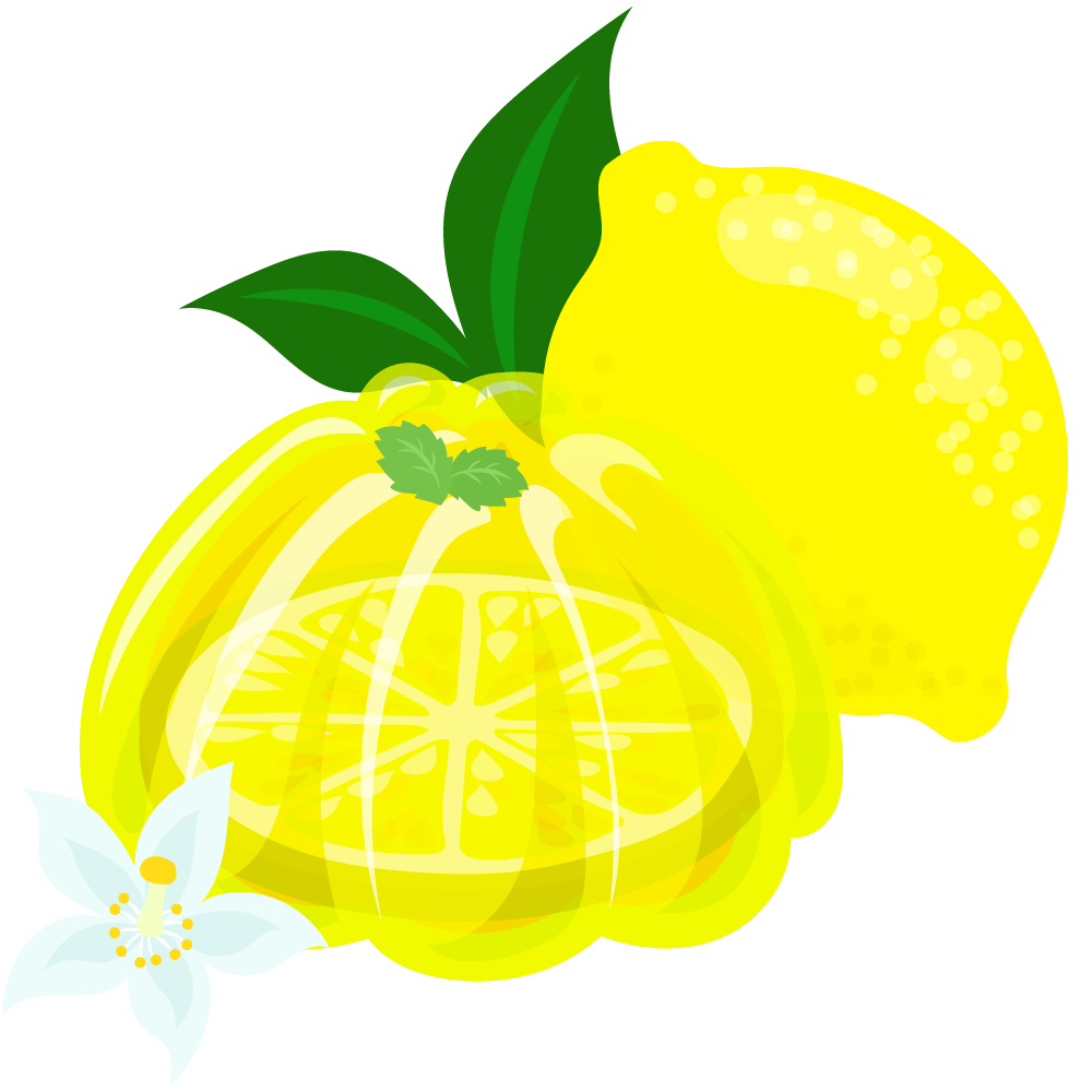 レモンのスイーツのフリーイラスト素材 -ゼリー-